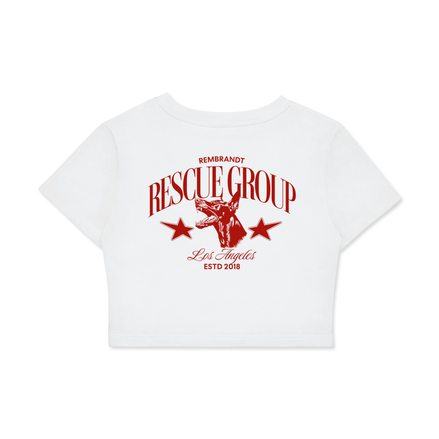 Fitted Crop Cotton T-Shirt